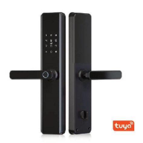 Cerradura digital WiFi Tuya S818